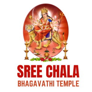 sree chala (6)